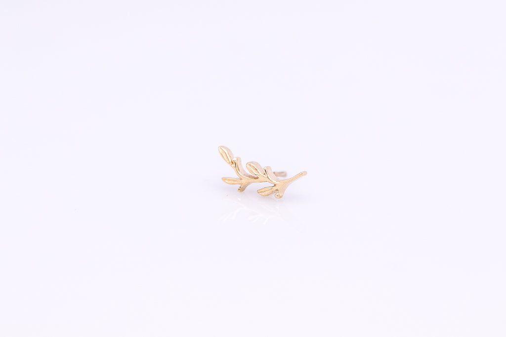 Amity - BVLA Gelbgold